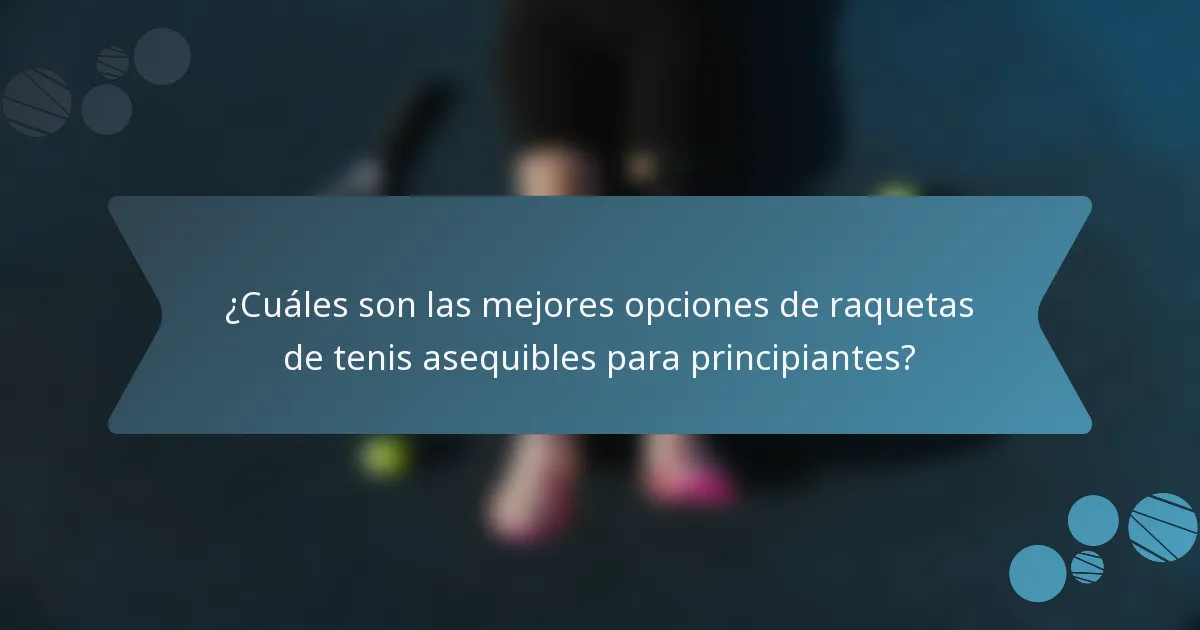 ¿Cuáles son las mejores opciones de raquetas de tenis asequibles para principiantes?