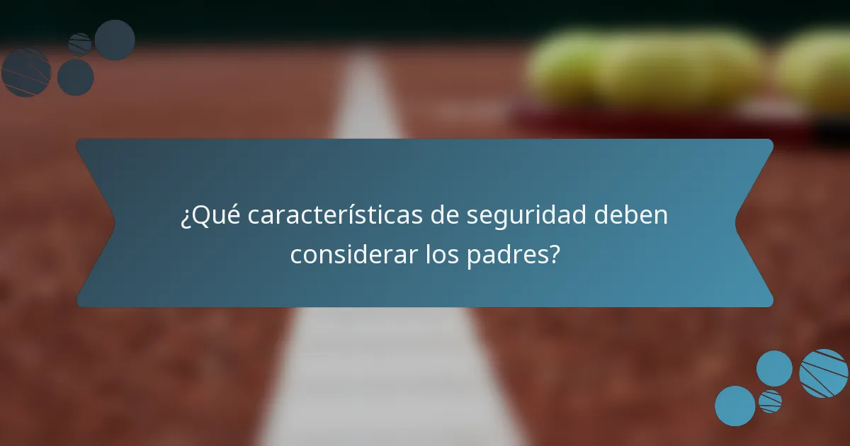 ¿Qué características de seguridad deben considerar los padres?